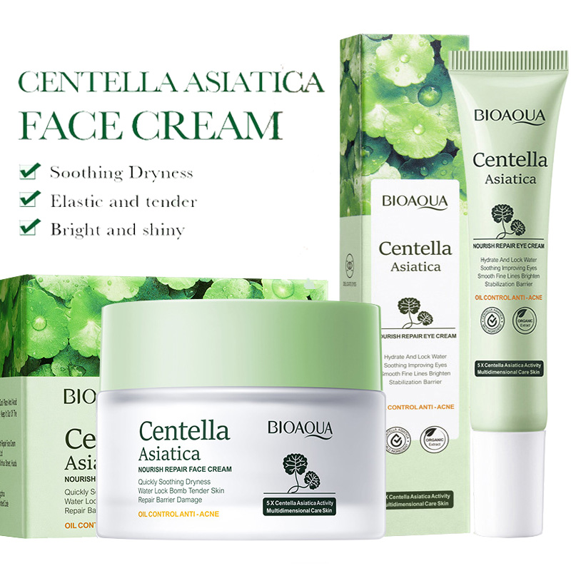 Skincare Garnier - BIOAQUA Centella Asiatica juegos de cuidado